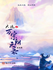 六迹之万宗朝天录 六迹之万宗朝天录