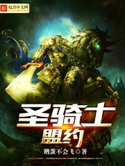 圣骑士盟约 圣骑士盟约
