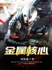 金属核心 金属核心