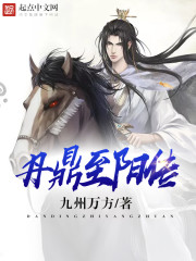 丹鼎至阳传 丹鼎至阳传