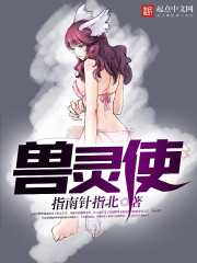 兽灵使 兽灵使