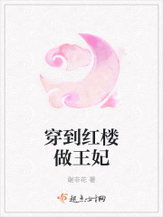 穿到红楼做王妃 穿到红楼做王妃