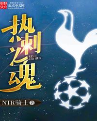 热刺之魂 热刺之魂