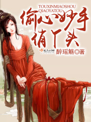 偷心妙手俏丫头 偷心妙手俏丫头