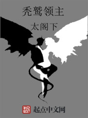 秃鹫领主 秃鹫领主