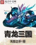 青龙三国 青龙三国