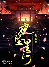 夜坠星河 夜坠星河