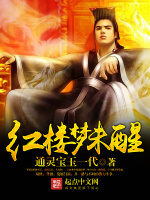 红楼梦未醒 红楼梦未醒