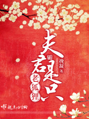 夫君是只老狐狸 夫君是只老狐狸