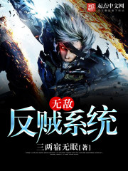无敌反贼系统