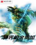 异界的金奥加 异界的金奥加