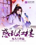 惑乱红楼 惑乱红楼