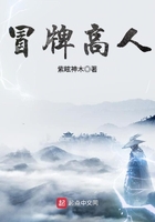 冒牌高人 冒牌高人
