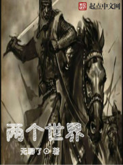 二个世界 二个世界