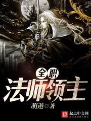 全职法师领主 全职法师领主