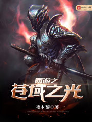 网游之苍域之光 网游之苍域之光
