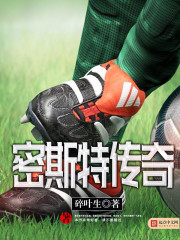 密斯特传奇 密斯特传奇