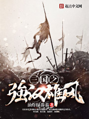 三国之强汉雄风 三国之强汉雄风