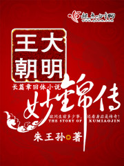 大明王朝妙锦传 大明王朝妙锦传