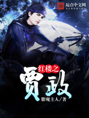 红楼之贾政 红楼之贾政