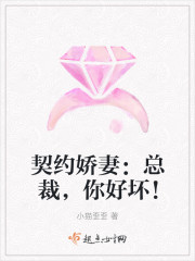 契约娇妻:总裁,你好坏! 契约娇妻:总裁,你好坏!