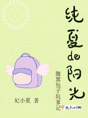 纯夏的阳光,腹黑包子坑爹记 纯夏的阳光,腹黑包子坑爹记