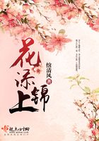 花添锦上 花添锦上