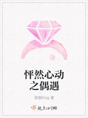 怦然心动之偶遇 怦然心动之偶遇