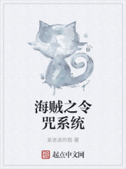 海贼之令咒系统 海贼之令咒系统
