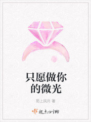 只愿做你的微光 只愿做你的微光