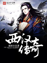 西汉传奇 西汉传奇