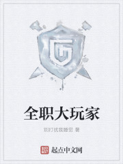 全职大玩家 全职大玩家