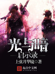 光与暗启示录 光与暗启示录
