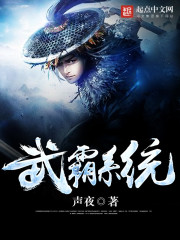 武霸系统 武霸系统