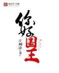 你好国王 你好国王