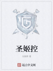 圣姬控 圣姬控