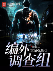 编外调查组 编外调查组