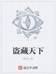 盗藏天下 盗藏天下