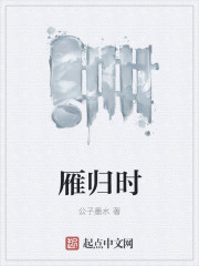 雁归时 雁归时
