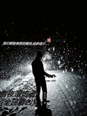 雪夜追击者 雪夜追击者