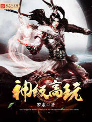 神级高玩 神级高玩