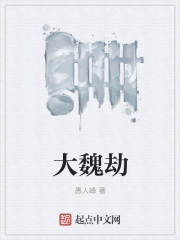 大魏劫 大魏劫