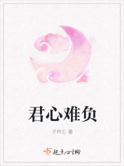 君心难负 君心难负