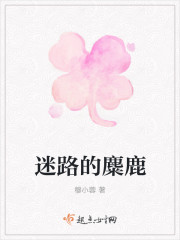 迷路的麋鹿