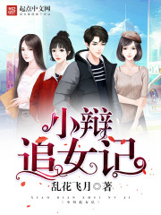 小辩追女记 小辩追女记
