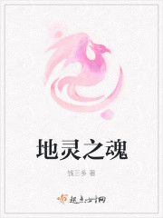 地灵之魂 地灵之魂