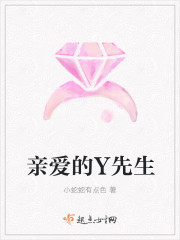 亲爱的Y先生 亲爱的Y先生
