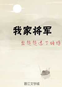 我家将军 我家将军
