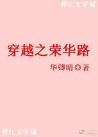穿越之荣华路 穿越之荣华路