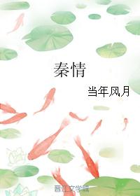 秦情 秦情